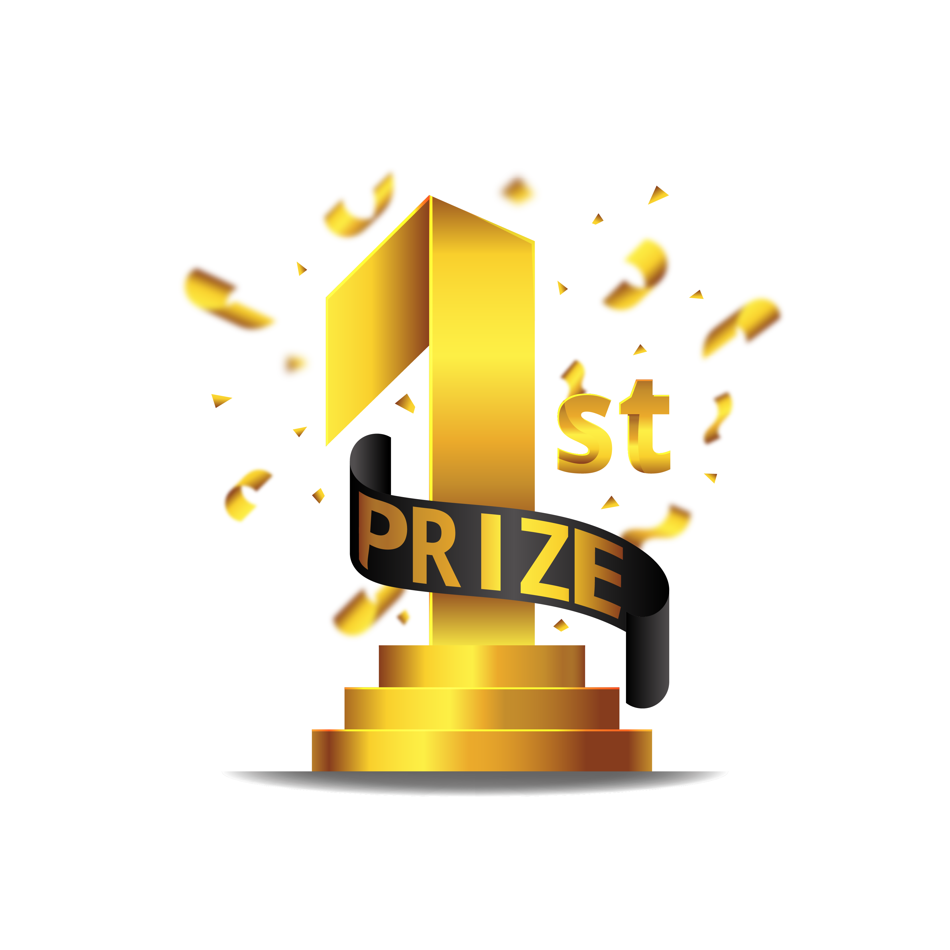 1st Prize Winner